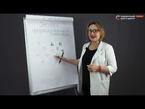 Этапы развития команды