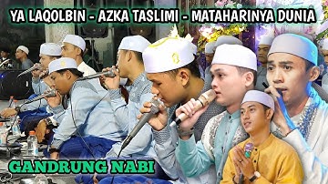 Ya Laqolbin - Azka Taslimi - Mataharinya Dunia // Majelis Gandrung Nabi
