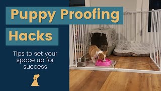 Puppy Space Setup And How To Puppy Proof Your House