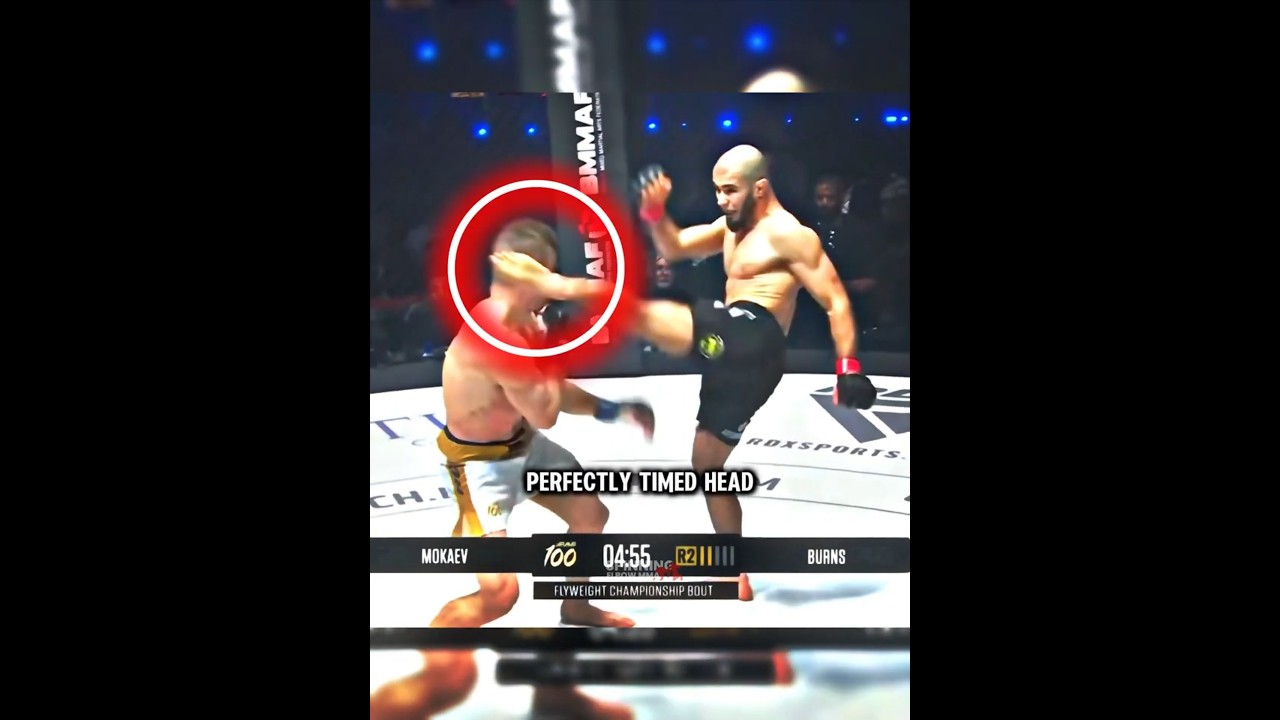 МУХАММАД МОКАЕВ нокаутирует Джерарда Бернса 🔥 