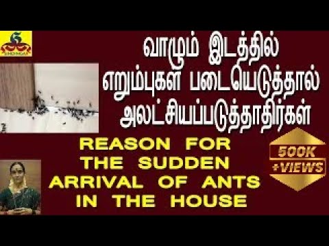 Reason for the sudden arrival of ants in the house|வீட்டில் திடீர் என எறும்புகளா? அலட்சியம் வேண்டாம்