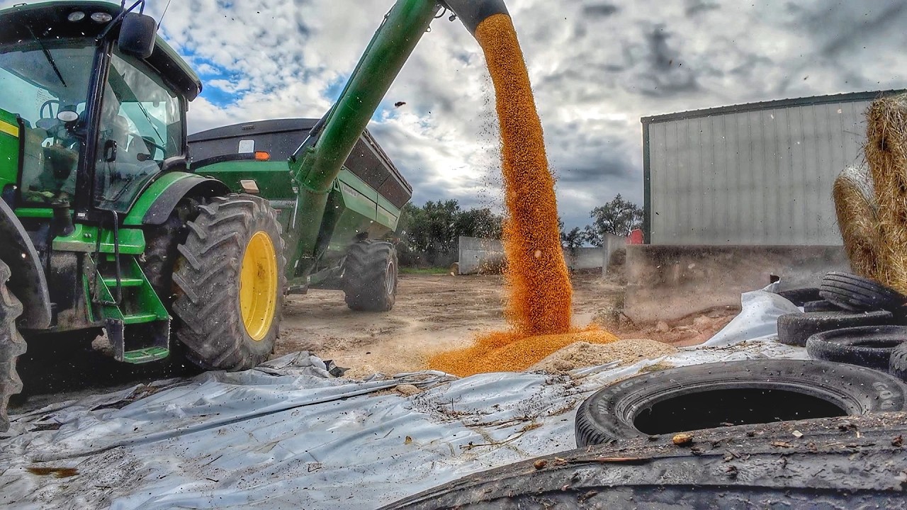 Uploads from Sonne Farms