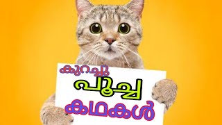 cat love stories malayalam.. കുറച്ചു പൂച്ചക്കഥകൾ @catsworld1469 by cats world 317 views 7 months ago 12 minutes, 45 seconds