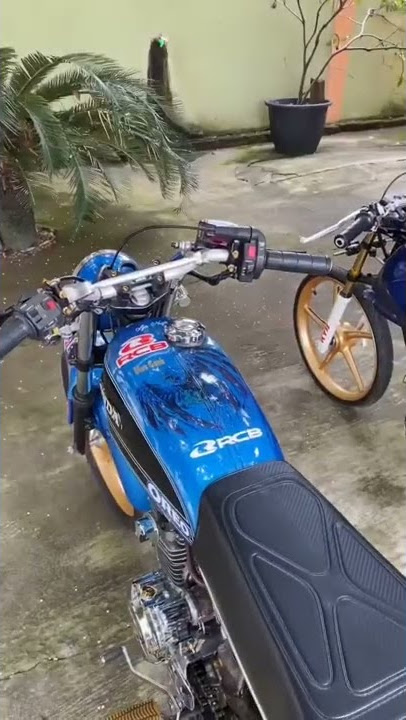 Story wa. Tiger/CB terbaru