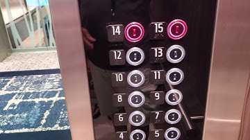 Royal Caribbean Odyssey of the Seas elevator no touch