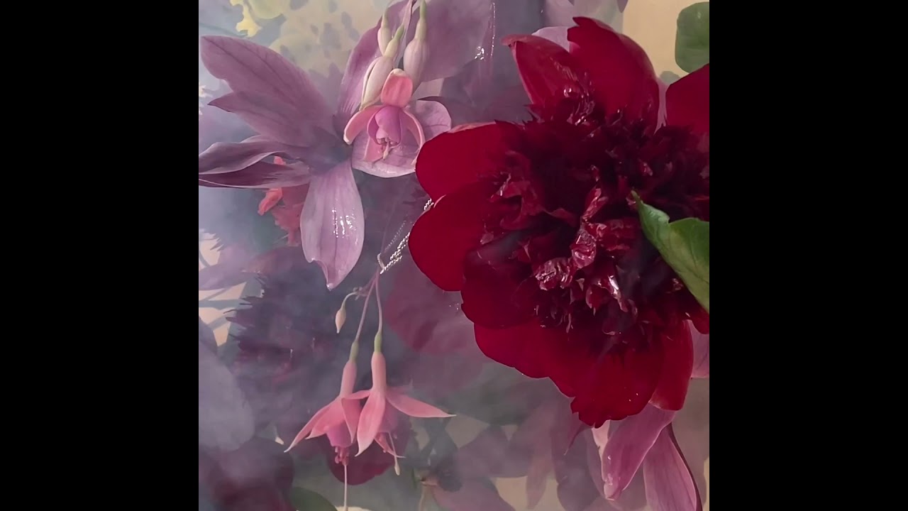 Logic1000 - Safe In My Arms (Official Visualiser)