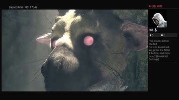 The last guardian | playthrough build part 1