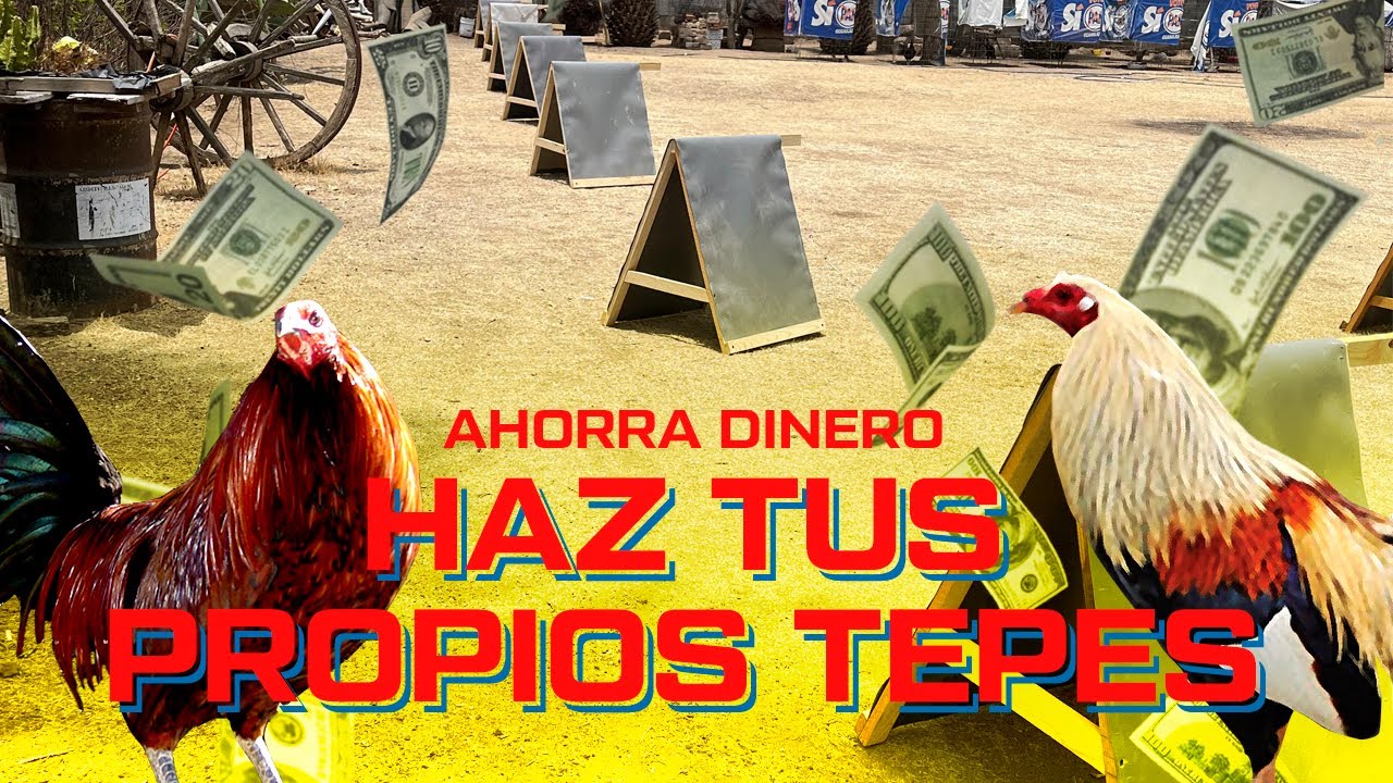 COMO HACER UN TEPEE O TIPI PARA GALLOS / ahorra dinero / Gallos finos