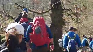 Fcam Travel Diary Four Falls, Brecon