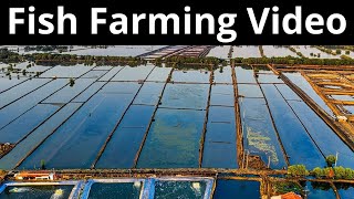 Fish farming Knowledge full Video | Next Farmer