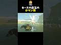 目玉のホーミング性能を使ったロマン技 #shorts #ゼルダの伝説ティアーズオブザキングダム #ティアキン