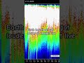Earth’s Heartbeat Got LOUDER13 dense.Many are FEELING . ringing ears, head pressure,energy, emotion