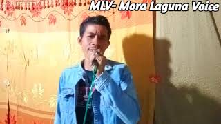 Download lagu Nasib Hu Do Inang - Lagu Batak Cover [Mora Marbulang 14] Cipt.Asman Sinaga