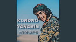 Kurdish _ Kurdno Yanabin _