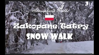 CITY WALKS: Poland Zakopane Tatry December - Закопане Польша в декабре