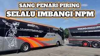 MAU HERAN TAPI INI MIYOR TANPA TIKET PROMO SELALU RUNNER UP 🫡