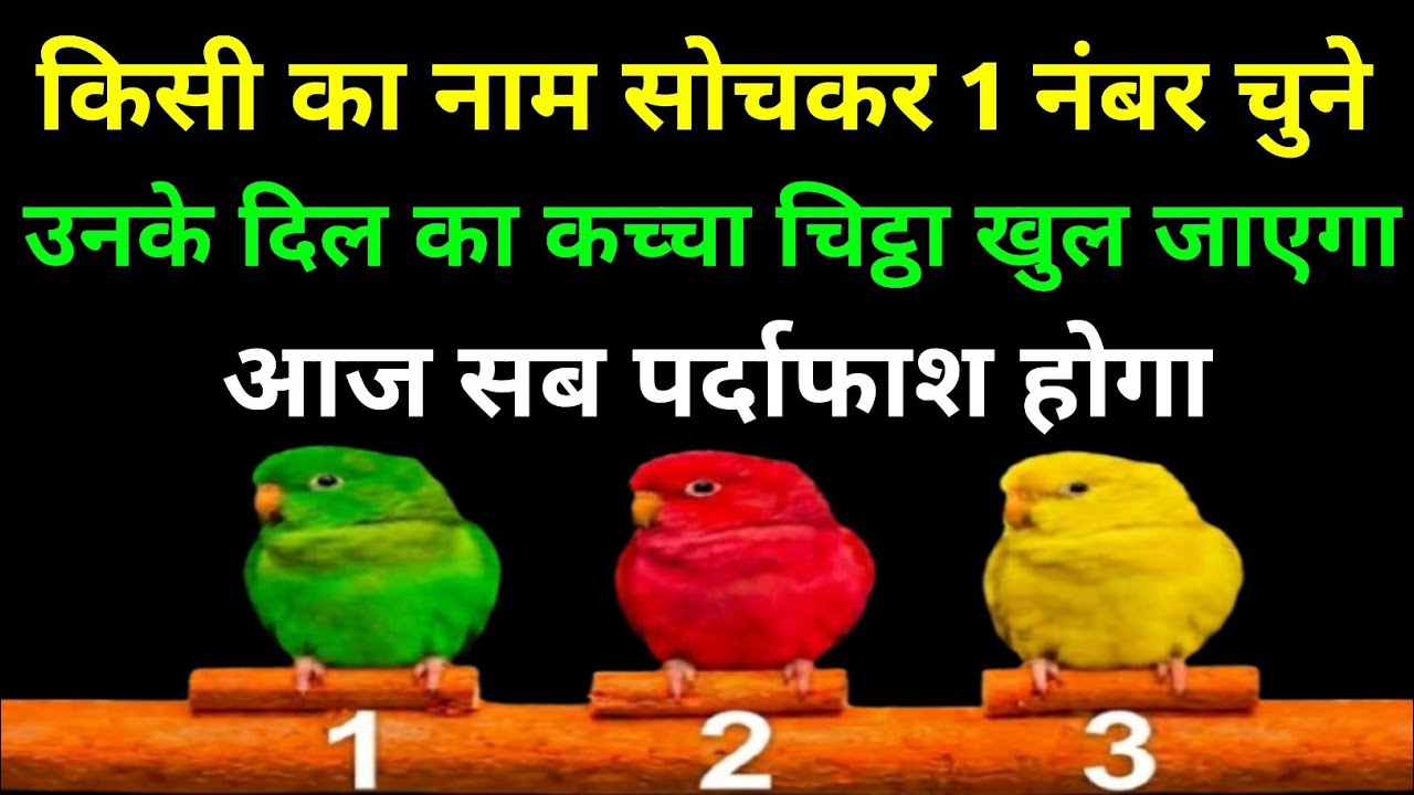 किसी का नाम सोचकर एक नंबर चुने उनके दिल का कच्चा चिट्ठा खुल जाएगा आज सब पर्दाफाश होगा #hinditarot 
