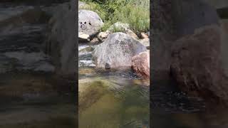 Video of Sand Flat Campground, CA from Kelli R.