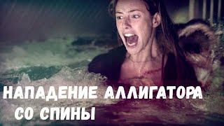 Капкан. Нападение аллигатора. Капкан. Нападение аллигатора.