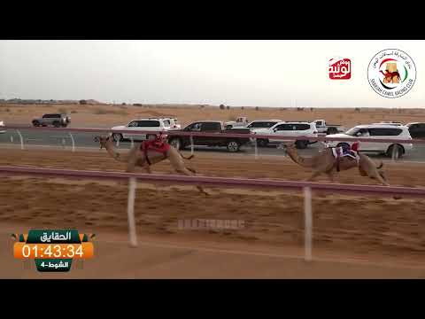 الشوط 4 مفجر ل عبدالله خلفان علي الرفيسه الكتبي 2 55 78 شارة الديوان 2025 09 12 الذيد حقايق