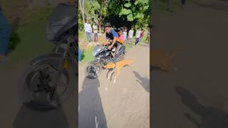 Dog race Maharashtra ||09 #short #dog