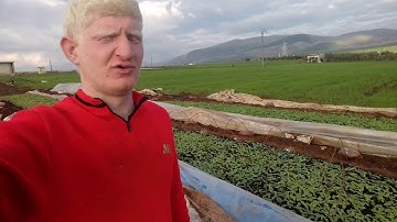 عامر جبو تلاوة ما تيسر من سورة الملك يتلو