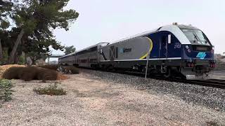 Amtrak Capitol Corridor South Through Fremont, CA by Engine201 278 views 5 months ago 1 minute, 24 seconds