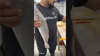 #شوريده #نويبي #ماهی #میگو