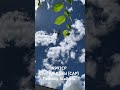 N992CP WTF Pathetic Woke Civil Air Patrol (CAP) #AerialStalker #aviation #civilairpatrol #flying