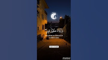تلاوات القارئ محمود الشحات انور #القران #قرآن #اكسبلور #دويتو #لايك