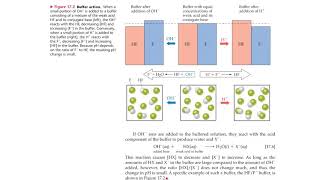 Famous 17 2 Text Buffered Solutions Profile