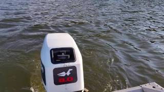Johnson 8 hp outboard  1992