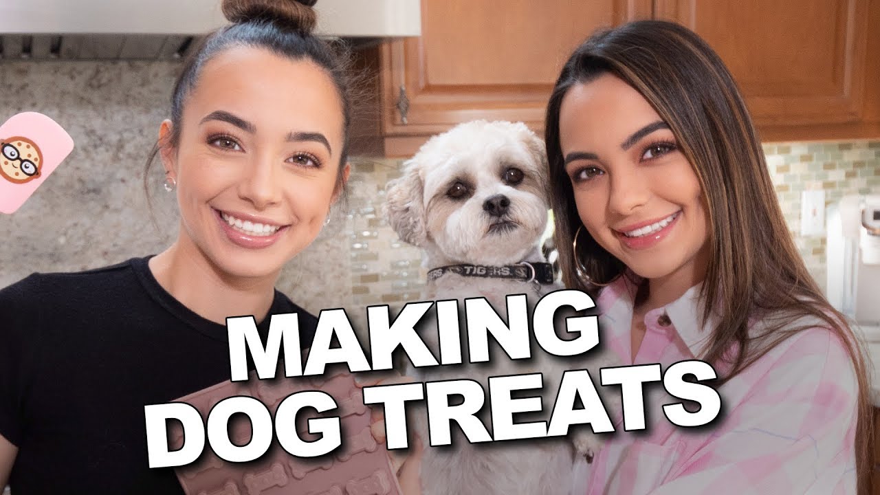 Making Dog Treats - Merrell Twins Live