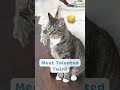 Twirl video