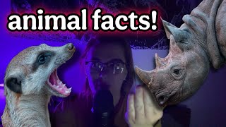 ASMR asking YOU trivia questions! click whisper, mouth sounds, hand sounds