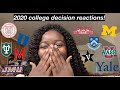 i got into my dream school!! | 2020 college decision reactions