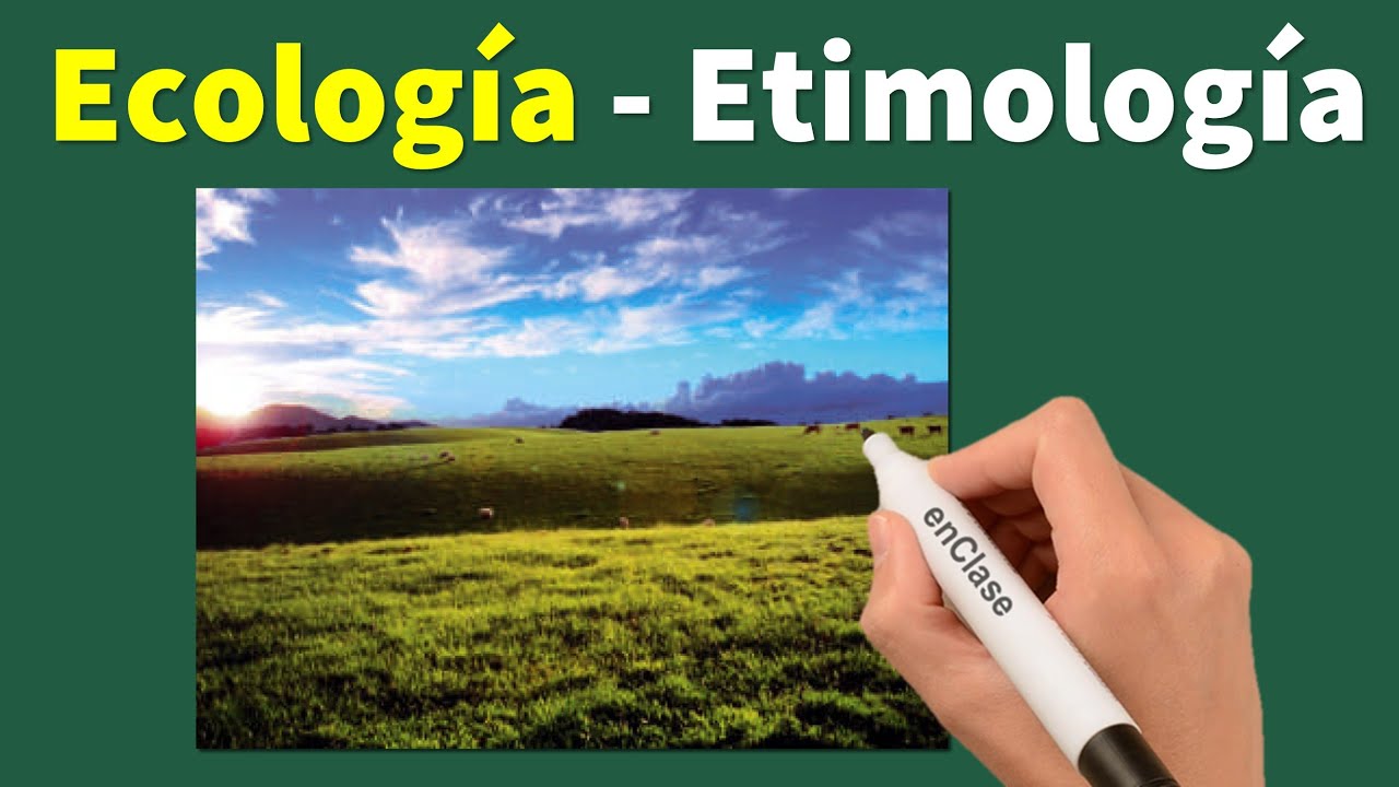 Cual Es El Significado Etimologico De Ecologia