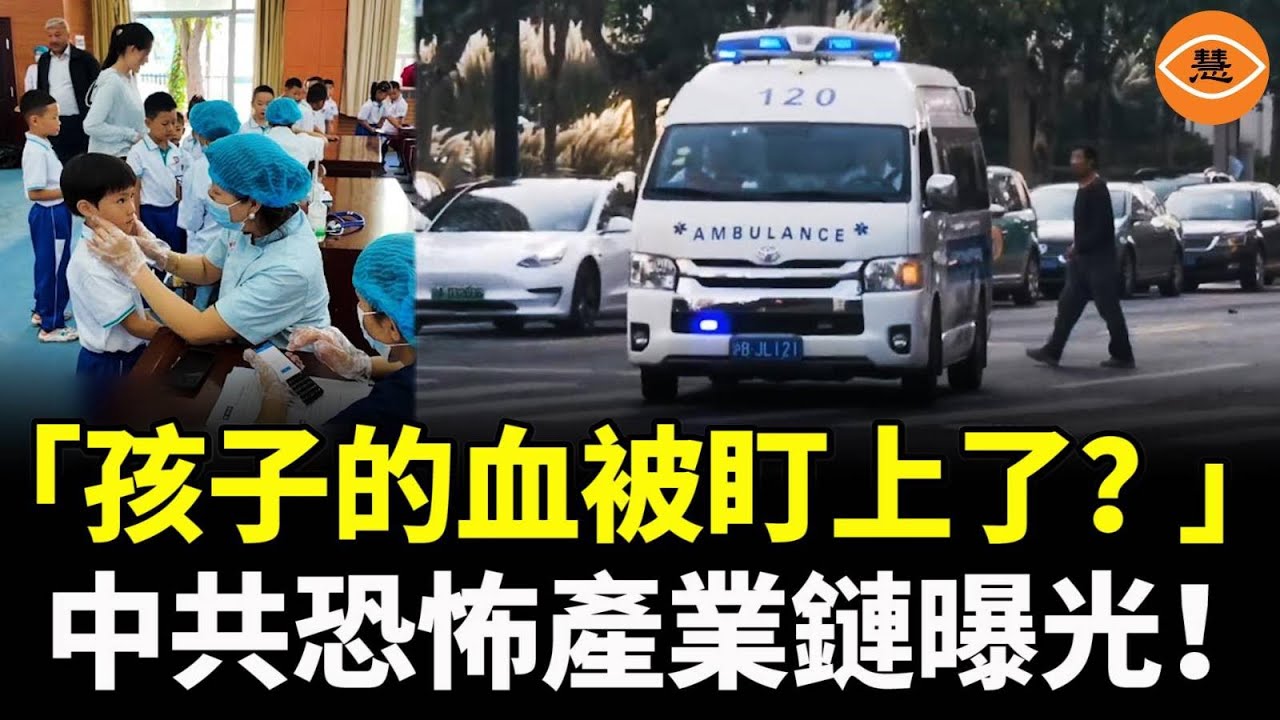 中國最隱秘、最可怕的產業終於上海公開登場了，2000萬人恐慌