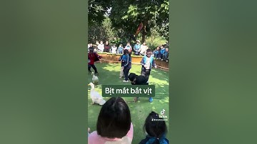 Bịt mắt bắt vịt trò chơi dân gian dịp tết và lễ hội