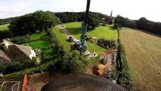 Acer Tree Surgeons Very large Oak tree dismantle using crane rigging techniques