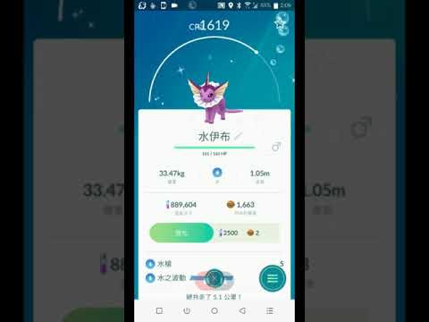 伊布戰士 (伊布全家福,含色違) Pokemon Go 精靈寶可夢 - YouTube