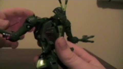 Transformers Animated Waspinator Review