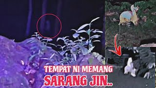 Full PENAMPAKAN!.. 3 BAS JIN PERNAH DIPINDAHKAN KESINI!?