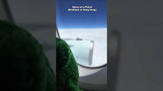 Ogres on a Plane!