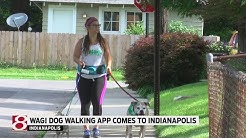 New app called Wag! lets you request dog walkers