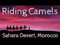 Riding Camels in the Sahara Desert of Morocco