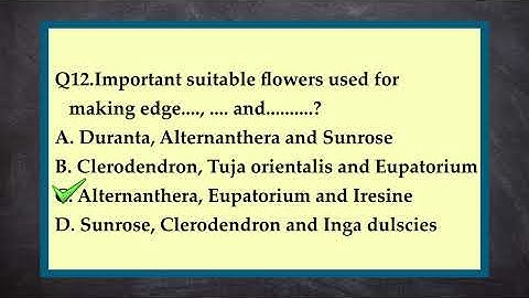 Q&A series - Floriculture (Part - 9) - 20 Important Questions in 4 Minutes