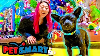 BUYING A HOMELESS DOG EVERYTHING HE TOUCHES!!