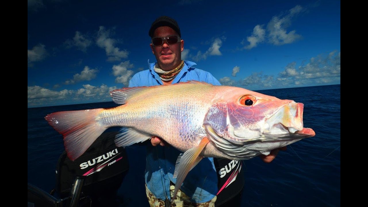 Kaos Great Fishing - Awesome Big Fish Kaos Fishing Great Barrier Reef kaos great fishing awesome big fish kaos fishing great barrier reef
