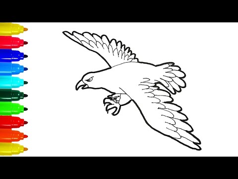 Video Vẽ con chim đại bàng | How to draw Eagle | Drawing... - youtube
